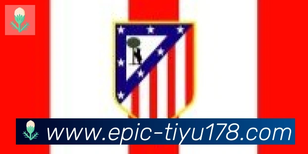 178体育直播合作伙伴